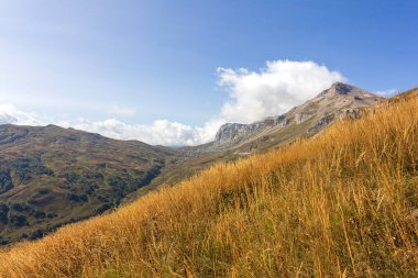 Sıcak, güneşli bir sonbahar gününde dağların dağlık alandaki yürüyüş patikalarından doğayla yürüme ve iletişim kurma panoramik manzarası..