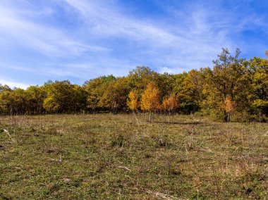 Güneşli bir sonbahar gününde, doğayla iletişim kurmak ve yürümek için dağ yollarından panoramik görüntüler..