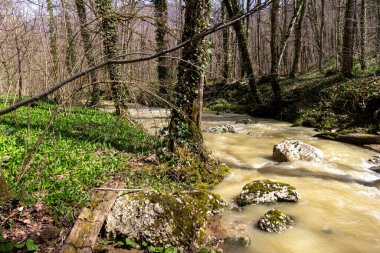 Bahar, dağ dereleri, eriyen suyla dolup taşar, geçilemez su engellerine dönüşür..