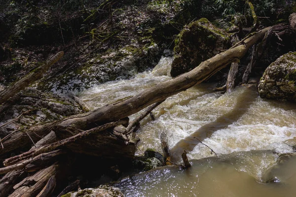 Wiosna Górskie Potoki Przepełnione Topniejącą Wodą Zamieniają Się Nieprzejezdne Odcinki — Zdjęcie stockowe