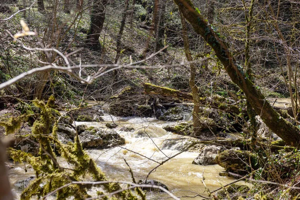 Printemps Ruisseaux Montagne Débordant Eau Fonte Transforment Sections Infranchissables Barrières — Photo