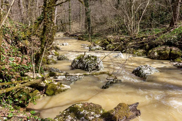 Quelle Gebirgsbäche Die Mit Schmelzwasser Überlaufen Verwandeln Sich Unpassierbare Abschnitte — Stockfoto