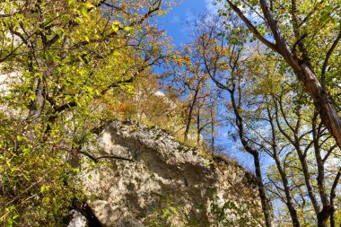 Sonbahar doğası dağ kanyonunda yürür..