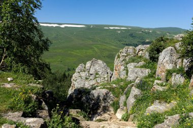 Yaz-subalp çayırları, dağların yamaçlarında çiçeklerin ve bitkilerin yeşermesi kayalık toprağın, erimeyen karın ve buzulların arasında..