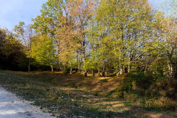 Vistas Panorámicas Desde Las Rutas Montaña Día Soleado Otoño Caminando —  Fotos de Stock