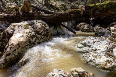 İlkbahar, dağ nehirleri buzullar ve dağ yamaçlarında eriyen karlar nedeniyle erimiş suyla doludur..