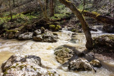 İlkbahar, dağ nehirleri buzullar ve dağ yamaçlarında eriyen karlar nedeniyle erimiş suyla doludur..