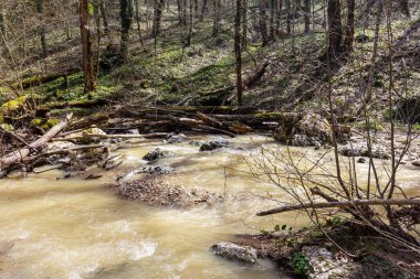 İlkbahar, dağ nehirleri buzullar ve dağ yamaçlarında eriyen karlar nedeniyle erimiş suyla doludur..