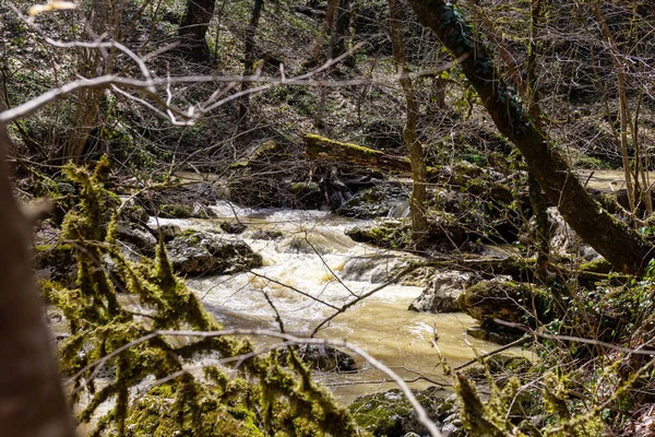 Frühling Bergflüsse Füllen Sich Mit Schmelzwasser Weil Der Schnee Auf — Stockfoto