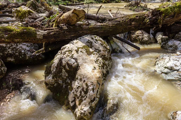 Frühling Bergflüsse Füllen Sich Mit Schmelzwasser Weil Der Schnee Auf — Stockfoto