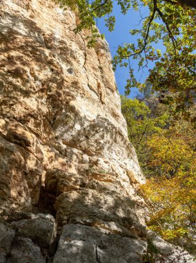 Sonbahar doğası dağ kanyonunda yürür..