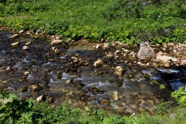 Güneşli bir yaz gününde, dağ yollarından panoramik görüntüler, doğa ile yürüyüş ve iletişim..