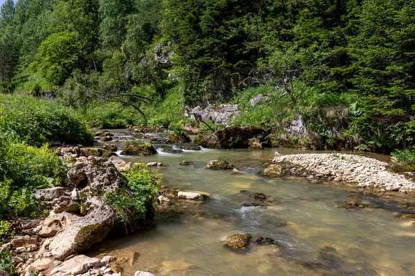 Panoramisch Uitzicht Vanaf Bergroutes Een Zonnige Zomerdag Wandelen Communiceren Met — Stockfoto