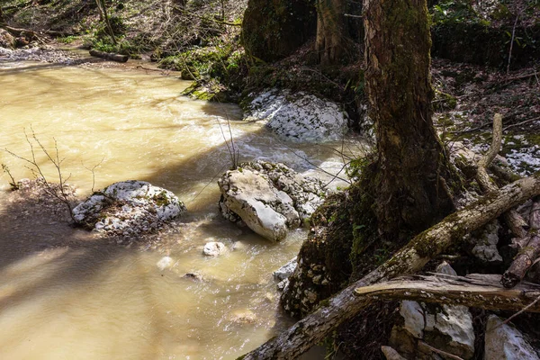 Quelle Gebirgsbäche Die Mit Schmelzwasser Überlaufen Verwandeln Sich Unpassierbare Abschnitte — Stockfoto