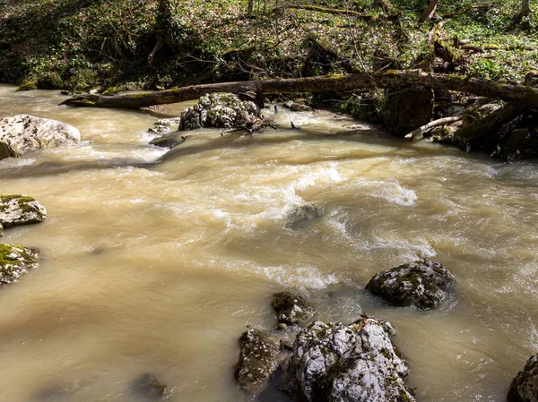 Frühling Bergflüsse Sind Mit Schmelzwasser Gefüllt — Stockfoto