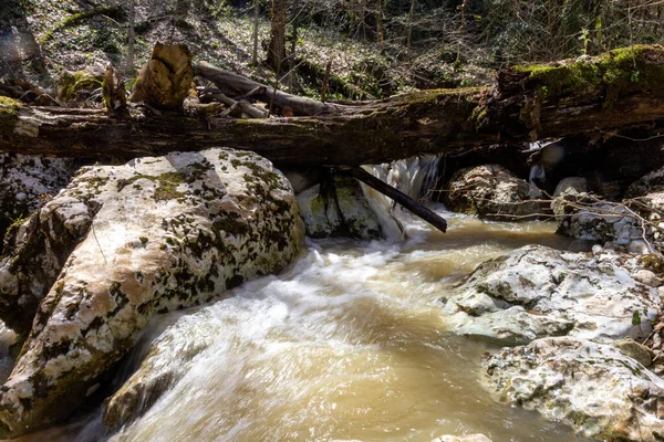 Frühling Bergflüsse Sind Mit Schmelzwasser Gefüllt — Stockfoto