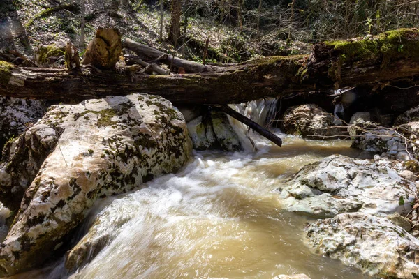 Primavera Los Ríos Montaña Están Llenos Agua Derretida — Foto de Stock