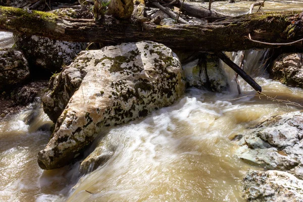 Frühling Bergflüsse Sind Mit Schmelzwasser Gefüllt — Stockfoto