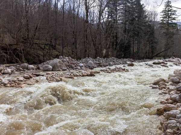 Spring Gunung Sungai Yang Diisi Dengan Air Mencair — Stok Foto