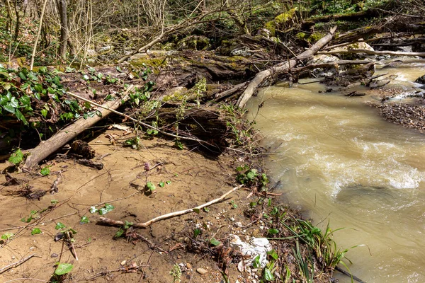 Frühling Bergflüsse Sind Mit Schmelzwasser Gefüllt — Stockfoto