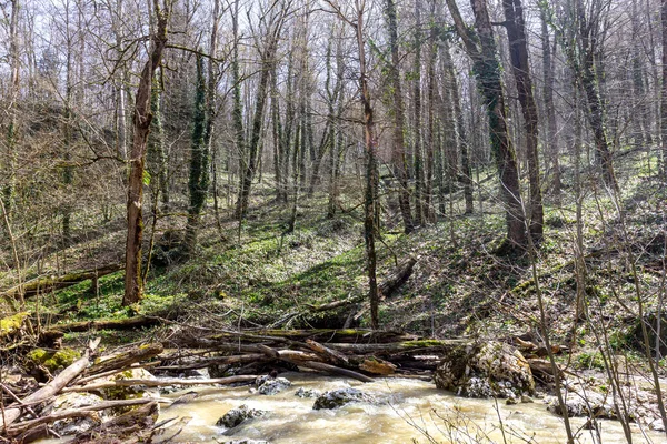 Весна Гірські Річки Наповнені Талою Водою — стокове фото