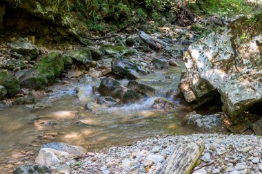 Dağ yatağı, yaz güneşli bir gün, Aminov Doğa Parkı Rusya, Aygea bölgesi, vahşi doğada seyahat.