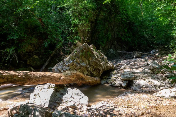 Gebirgsflussbett Sonniger Sommertag Aminov Naturpark Russland Region Adygea Reisen Der — Stockfoto