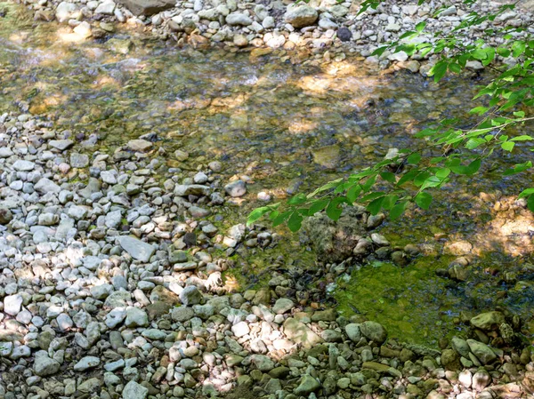 晴れた夏の日には浅い山の川のベッド 自然公園を通る観光ルート — ストック写真