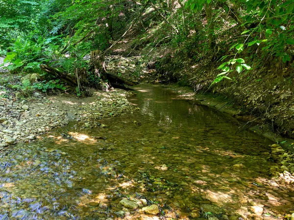 Lit Une Rivière Montagne Peu Profonde Par Une Journée Ensoleillée — Photo