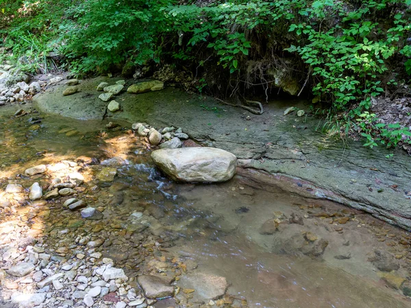 Lit Une Rivière Montagne Peu Profonde Par Une Journée Ensoleillée — Photo