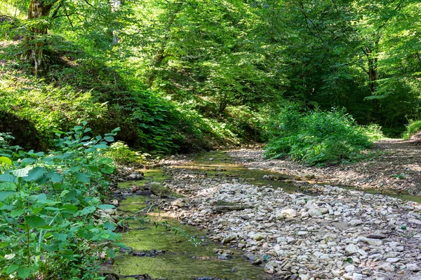 Lecho Río Montaña Poco Profundo Soleado Día Verano Una Ruta — Foto de Stock