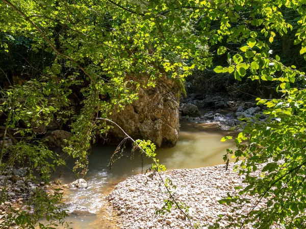 Gebirgsflussbett Sonniger Sommertag Aminov Naturpark Russland Region Adygea Reisen Der — Stockfoto