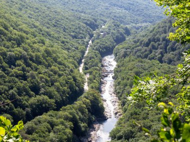 Dağ yatağı, yaz güneşli bir gün, Aminov Doğa Parkı Rusya, Aygea bölgesi, vahşi doğada seyahat.