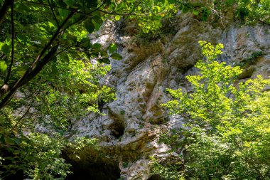 Dağ yatağı, yaz güneşli bir gün, Aminov Doğa Parkı Rusya, Aygea bölgesi, vahşi doğada seyahat.