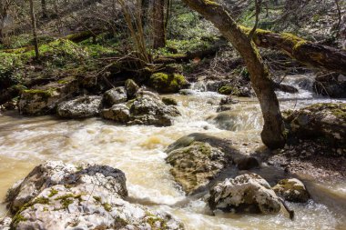Bahar, dağ dereleri, eriyen suyla dolup taşar, geçilemez su engellerine dönüşür..