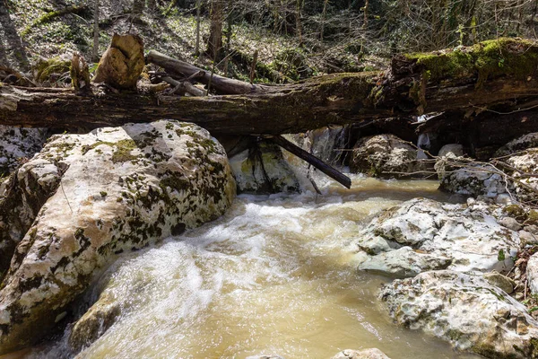 Quelle Gebirgsbäche Die Mit Schmelzwasser Überlaufen Verwandeln Sich Unpassierbare Abschnitte — Stockfoto