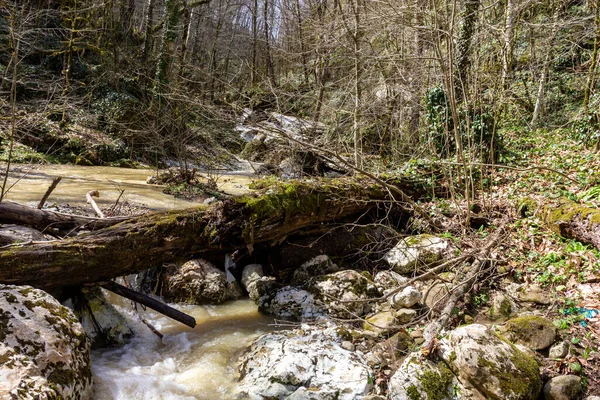 Bahar Dağ Dereleri Eriyen Suyla Dolup Taşar Geçilemez Engellerine Dönüşür — Stok fotoğraf