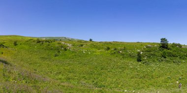 Güneşli bir yaz gününde, dağ yollarından panoramik görüntüler, doğa ile yürüyüş ve iletişim..