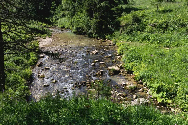 晴れた夏の日には 高山草原に由来する山の川の源は きれいな水で重要な資源の生態系を補充します — ストック写真