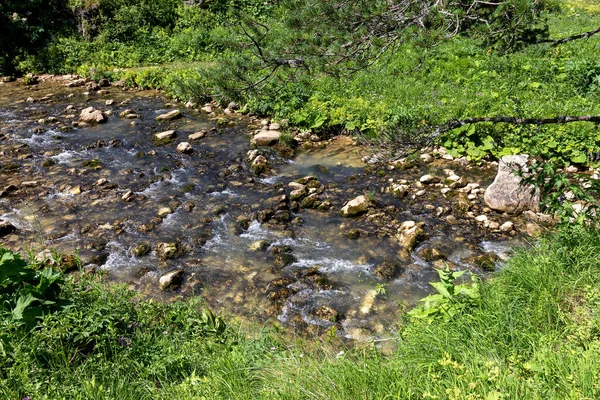 一个阳光明媚的夏日 源于高山草甸的山川的源头用洁净的水补充了重要资源的生态系统 — 图库照片
