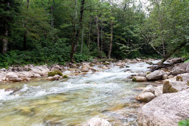 Dağ nehirleri, gezegendeki ekolojik temiz su rezervleri, dağların yükseklerinden geliyor. .
