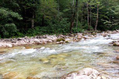 Dağ nehirleri, gezegendeki ekolojik temiz su rezervleri, dağların yükseklerinden geliyor. .