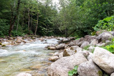 Dağ nehirleri, gezegendeki ekolojik temiz su rezervleri, dağların yükseklerinden geliyor. .