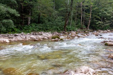 Dağ nehirleri, gezegendeki ekolojik temiz su rezervleri, dağların yükseklerinden geliyor. .