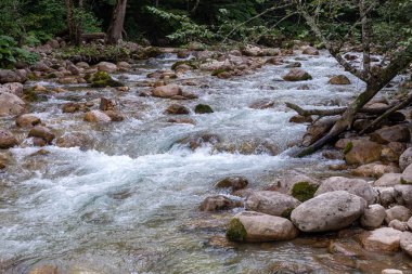 Dağ nehirleri, gezegendeki ekolojik temiz su rezervleri, dağların yükseklerinden geliyor. .