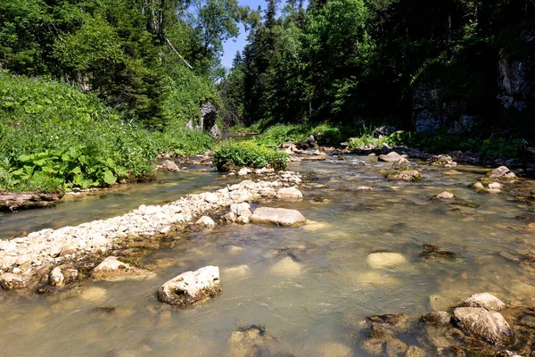 Une Journée Été Ensoleillée Les Sources Des Rivières Montagne Provenant — Photo