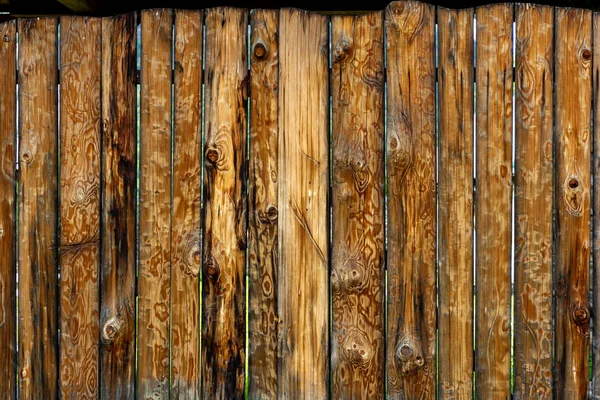 天然木 デザイン作品に使用される木製の背景 クローズアップ — ストック写真