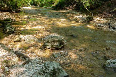 Dağlardan yükselen dağ nehirleri, güneşli bir yaz gününde nehrin kanyonu boyunca seyahat, ormanın tepe örtüsünün altında, çok seyahat edilmeyen turizm yolları..