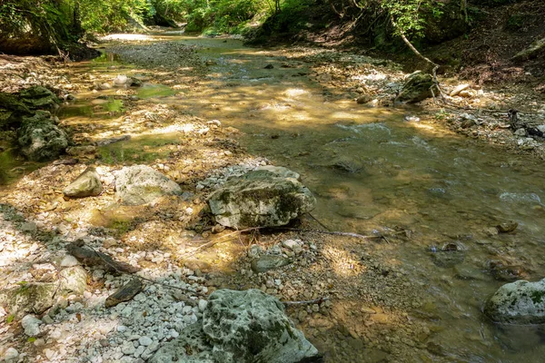 Dağlardan yükselen dağ nehirleri, güneşli bir yaz gününde nehrin kanyonu boyunca seyahat, ormanın tepe örtüsünün altında, çok seyahat edilmeyen turizm yolları..