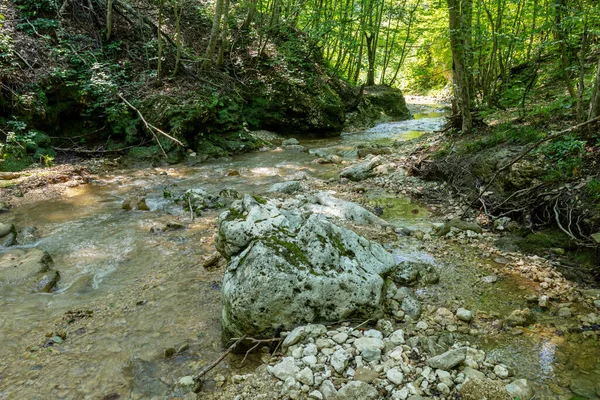 Ορεινοί Ποταμοί Που Πηγάζουν Από Ψηλά Στα Βουνά Ένα Ταξίδι — Φωτογραφία Αρχείου